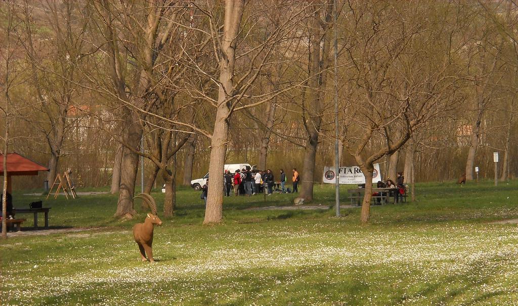 مورمانو Azienda Agrituristica La Casetta Del Pollino المظهر الخارجي الصورة